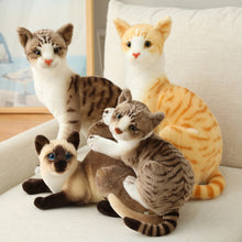Load image into Gallery viewer, Lifelike Siamese Cats Plush Toy Simulation American Shorthair Cat Stuffed Doll Pet Toys Home Decor Gifts For Kids Birthday
