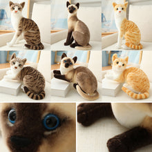 Load image into Gallery viewer, Lifelike Siamese Cats Plush Toy Simulation American Shorthair Cat Stuffed Doll Pet Toys Home Decor Gifts For Kids Birthday
