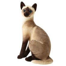 Load image into Gallery viewer, Lifelike Siamese Cats Plush Toy Simulation American Shorthair Cat Stuffed Doll Pet Toys Home Decor Gifts For Kids Birthday
