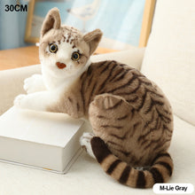 Load image into Gallery viewer, Lifelike Siamese Cats Plush Toy Simulation American Shorthair Cat Stuffed Doll Pet Toys Home Decor Gifts For Kids Birthday
