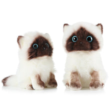 Load image into Gallery viewer, 20/26CM Simulation Ragdoll Cat Plush Toy Blue Eyes Kitten Dolls Lifelike Ragdoll Cats Home Decor Cute Gift for Kids Girl
