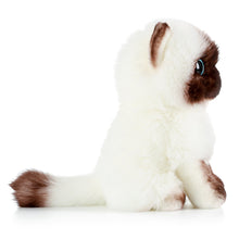Load image into Gallery viewer, 20/26CM Simulation Ragdoll Cat Plush Toy Blue Eyes Kitten Dolls Lifelike Ragdoll Cats Home Decor Cute Gift for Kids Girl
