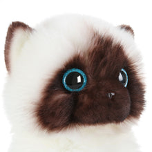 Load image into Gallery viewer, 20/26CM Simulation Ragdoll Cat Plush Toy Blue Eyes Kitten Dolls Lifelike Ragdoll Cats Home Decor Cute Gift for Kids Girl
