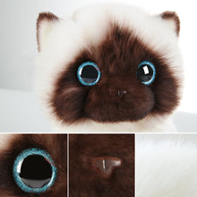 Load image into Gallery viewer, 20/26CM Simulation Ragdoll Cat Plush Toy Blue Eyes Kitten Dolls Lifelike Ragdoll Cats Home Decor Cute Gift for Kids Girl
