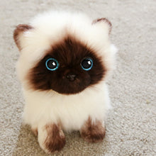 Load image into Gallery viewer, 20/26CM Simulation Ragdoll Cat Plush Toy Blue Eyes Kitten Dolls Lifelike Ragdoll Cats Home Decor Cute Gift for Kids Girl
