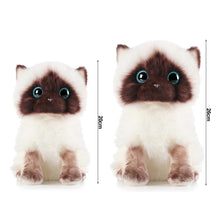 Load image into Gallery viewer, 20/26CM Simulation Ragdoll Cat Plush Toy Blue Eyes Kitten Dolls Lifelike Ragdoll Cats Home Decor Cute Gift for Kids Girl
