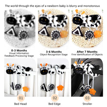 Load image into Gallery viewer, Baby Newborn Crib Toys Early Development for 0-12 Months High Contrast Black and White Montessori Learning Education Toy
