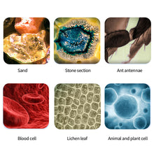 Load image into Gallery viewer, Handheld Microscope Kit Lab 60X-120X Zoom Biological Science Educational Toys with LED Light School For Children STEM Gift

