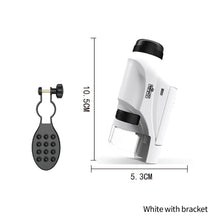 Load image into Gallery viewer, Handheld Microscope Kit Lab 60X-120X Zoom Biological Science Educational Toys with LED Light School For Children STEM Gift
