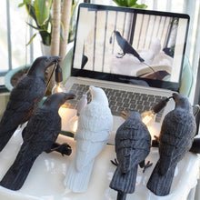 Load image into Gallery viewer, Bedroom nightlight Bedside Lamp for the Living Room Wall Lamp Raven Wall Lamp Table Lamp Home Decorative Lamp for Lucky Bird Furniture
