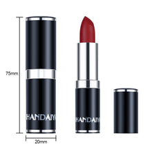 Load image into Gallery viewer, Waterproof Sexy Nude Red Brown Purple Lipgloss Matte Lip Gloss Velvety Lipstick Matte Makeup Long Lasting Women Cosmetic
