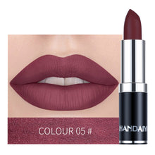 Load image into Gallery viewer, Waterproof Sexy Nude Red Brown Purple Lipgloss Matte Lip Gloss Velvety Lipstick Matte Makeup Long Lasting Women Cosmetic
