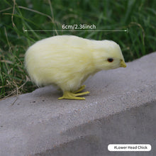 Load image into Gallery viewer, Simulation Chick Plush Toy Children Cognition Chicken Model Figurine Realistic Furry Animal Doll Chicken Easter Gift Kids
