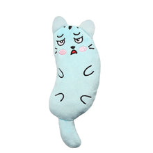 Load image into Gallery viewer, Funny Interactive Plush Cat Toy Cute Cat Face Catnip Cats Toy Kitten Teeth Chewing Biting Plush Toys Cat Plush Thumb Pillow Pet Accessories
