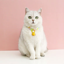 Load image into Gallery viewer, Pet Cat Collar Candy Color Resin Bells Solid Color Collar Neck Chain Pet Cat Puppy Supplies Necklace Accessories
