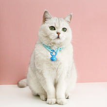 Load image into Gallery viewer, Pet Cat Collar Candy Color Resin Bells Solid Color Collar Neck Chain Pet Cat Puppy Supplies Necklace Accessories
