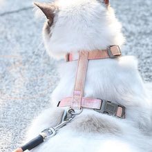 Load image into Gallery viewer, Adjustable Pet Cat Gradual Color Changing Traction Rope Set Small Dog Leash Dog I-shaped Chest Harness For Small Medium Dog French Bulldog Pug Bulldog
