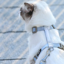 Load image into Gallery viewer, Adjustable Pet Cat Gradual Color Changing Traction Rope Set Small Dog Leash Dog I-shaped Chest Harness For Small Medium Dog French Bulldog Pug Bulldog
