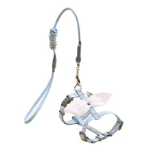 Load image into Gallery viewer, Adjustable Pet Cat Gradual Color Changing Traction Rope Set Small Dog Leash Dog I-shaped Chest Harness For Small Medium Dog French Bulldog Pug Bulldog
