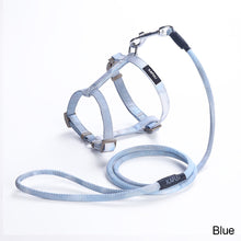 Load image into Gallery viewer, Adjustable Pet Cat Gradual Color Changing Traction Rope Set Small Dog Leash Dog I-shaped Chest Harness For Small Medium Dog French Bulldog Pug Bulldog
