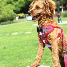 Load image into Gallery viewer, Elegant Bow Dog Collars Necktie Traction Rope Pet Harness for Small Medium Dogs Cat Chest Strap Dog Accessories

