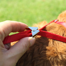 Load image into Gallery viewer, Elegant Bow Dog Collars Necktie Traction Rope Pet Harness for Small Medium Dogs Cat Chest Strap Dog Accessories
