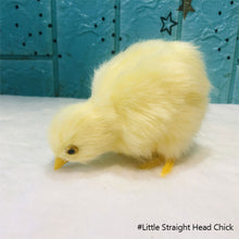 Load image into Gallery viewer, Simulation Chick Plush Toy Children Cognition Chicken Model Figurine Realistic Furry Animal Doll Chicken Easter Gift Kids
