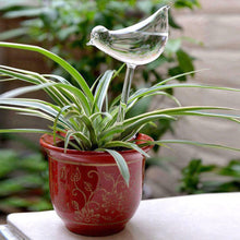 Load image into Gallery viewer, PVC Self Watering Devices Automatic Watering Spike Plants Flowers Bottle Drip Irrigation Bird Star Heart Water Feeder for Indoor Garden
