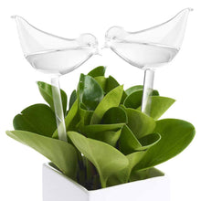 Load image into Gallery viewer, PVC Self Watering Devices Automatic Watering Spike Plants Flowers Bottle Drip Irrigation Bird Star Heart Water Feeder for Indoor Garden
