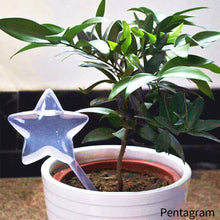 Load image into Gallery viewer, PVC Self Watering Devices Automatic Watering Spike Plants Flowers Bottle Drip Irrigation Bird Star Heart Water Feeder for Indoor Garden
