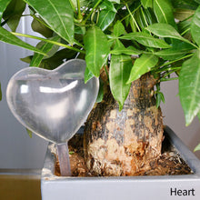 Load image into Gallery viewer, PVC Self Watering Devices Automatic Watering Spike Plants Flowers Bottle Drip Irrigation Bird Star Heart Water Feeder for Indoor Garden
