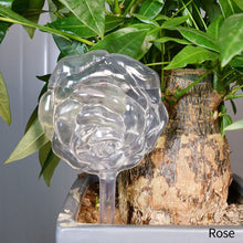 Load image into Gallery viewer, PVC Self Watering Devices Automatic Watering Spike Plants Flowers Bottle Drip Irrigation Bird Star Heart Water Feeder for Indoor Garden
