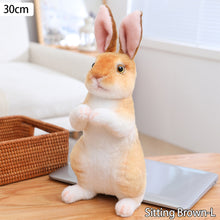 Load image into Gallery viewer, Realistic Cute White Plush Rabbits Lifelike Animal Photo Props Bunny Simulation Rabbit Toy Model Birthday Gift

