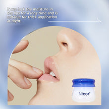 Load image into Gallery viewer, Moisturizing Honeypot Lip Mask Lip Light Care Lip Texture Moisturizing Anti-dry Fruit Taste Lip Honey Transparent Lip Balm
