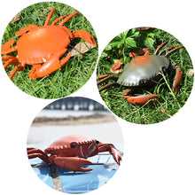Load image into Gallery viewer, Smart Simulated Crab Cat Toys Interactive Electric Battery Stuffed Toy Cat Teaser Self-Playing Kitten Toys for Cats Pet Supplies
