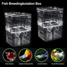 Load image into Gallery viewer, Double-Deck Clear Fish Breeding Isolation Box Aquarium Breeder Fish Tank Hatching Incubator Fish House Home
