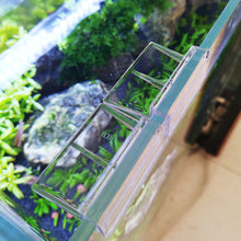 Load image into Gallery viewer, 4Pcs/lot Fish Aquatic Pet Parts Aquarium Fish Tank Acrylic Clips Glass Cover Support Holders 6/8/10/12mm
