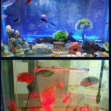 Load image into Gallery viewer, LED Aquarium Light Fish Tank Submersible Light Aquatic Air Bubble Oxygenation Lamp EU US Plug Fish Tank Light
