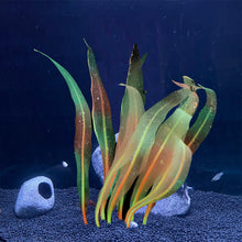 Load image into Gallery viewer, 18-25cm Aquarium Decoration Plants Simulation Artificial Water Grass Fish Tank Decor Silicone Kelp Ornament Aquarium Accessories
