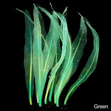 Load image into Gallery viewer, 18-25cm Aquarium Decoration Plants Simulation Artificial Water Grass Fish Tank Decor Silicone Kelp Ornament Aquarium Accessories
