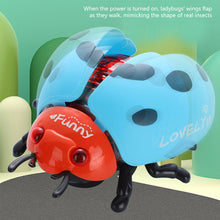 Load image into Gallery viewer, Simulated Cartoon Insect Cat Toy Parent-child Interaction Simulation Beetle Ladybug Bee with Light and Music Gift for Kids
