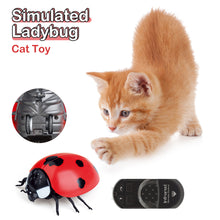 Load image into Gallery viewer, Infrared Remote Control Cat Toys Simulated Ladybug Electric Interactive Ladybeetle Toy Pet Entertainment Accessories
