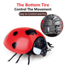 Load image into Gallery viewer, Infrared Remote Control Cat Toys Simulated Ladybug Electric Interactive Ladybeetle Toy Pet Entertainment Accessories
