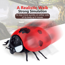 Load image into Gallery viewer, Infrared Remote Control Cat Toys Simulated Ladybug Electric Interactive Ladybeetle Toy Pet Entertainment Accessories
