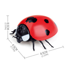 Load image into Gallery viewer, Infrared Remote Control Cat Toys Simulated Ladybug Electric Interactive Ladybeetle Toy Pet Entertainment Accessories
