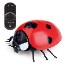 Load image into Gallery viewer, Infrared Remote Control Cat Toys Simulated Ladybug Electric Interactive Ladybeetle Toy Pet Entertainment Accessories
