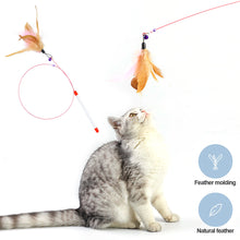 Load image into Gallery viewer, Cat Interactive Toy Funny Feather Teaser Wand Toy with Bell Cat Stick Toy for Kitten Playing Teaser Wand Toy Cat Supplies
