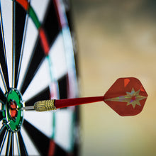 Load image into Gallery viewer, 30PCS PET Darts Flights Dart Feather Outdoor Wing Tail Mixed Pattern
