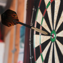 Load image into Gallery viewer, 30PCS PET Darts Flights Dart Feather Outdoor Wing Tail Mixed Pattern
