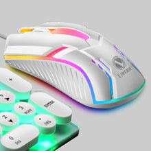 Load image into Gallery viewer, Wired Backlit Mouse Competitive Gaming Mouse Notebook Office Luminous Mouse
